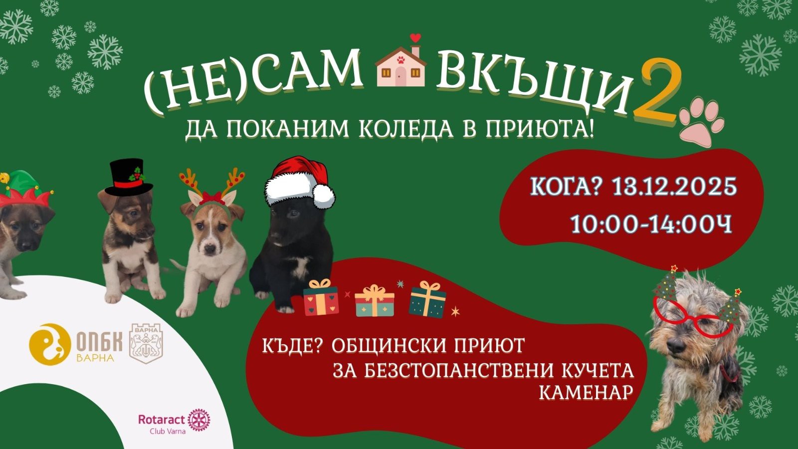 Свързани файлове